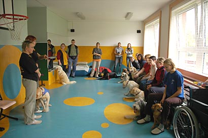 Canisterapeutické zkoušky 2005